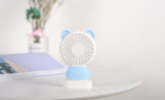 扇艺光影 专业产品摄影与扩印服务